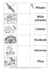 AB-Tiere-Zuordnung 12.pdf